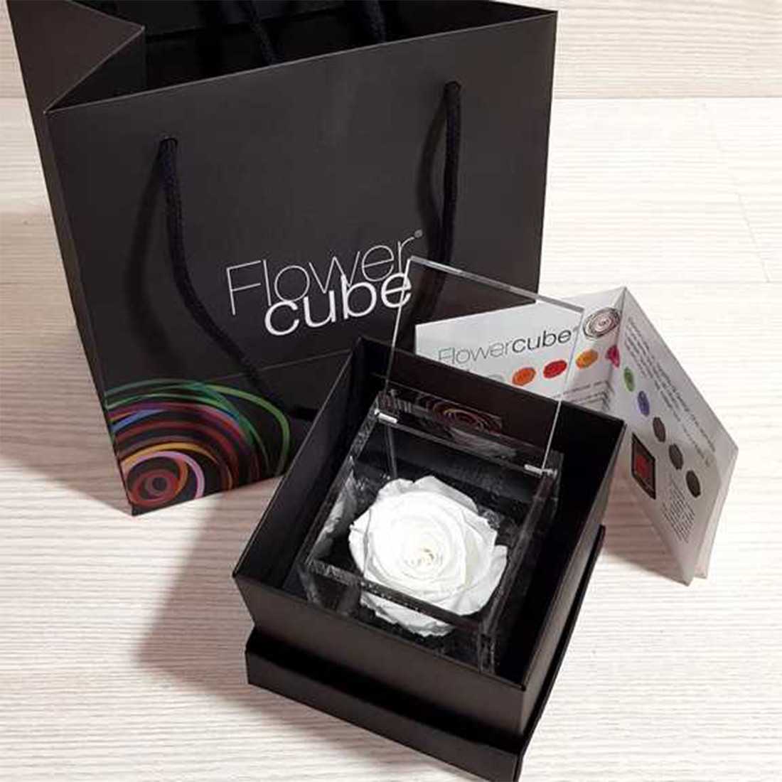 FlowerCube 10x10 cm shop online