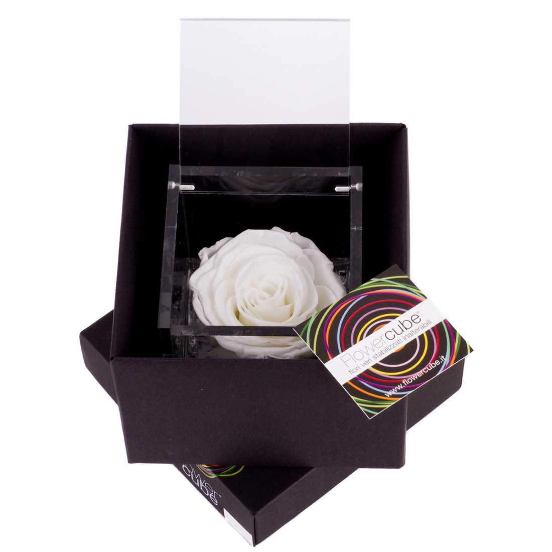 FlowerCube 10x10 cm shop online