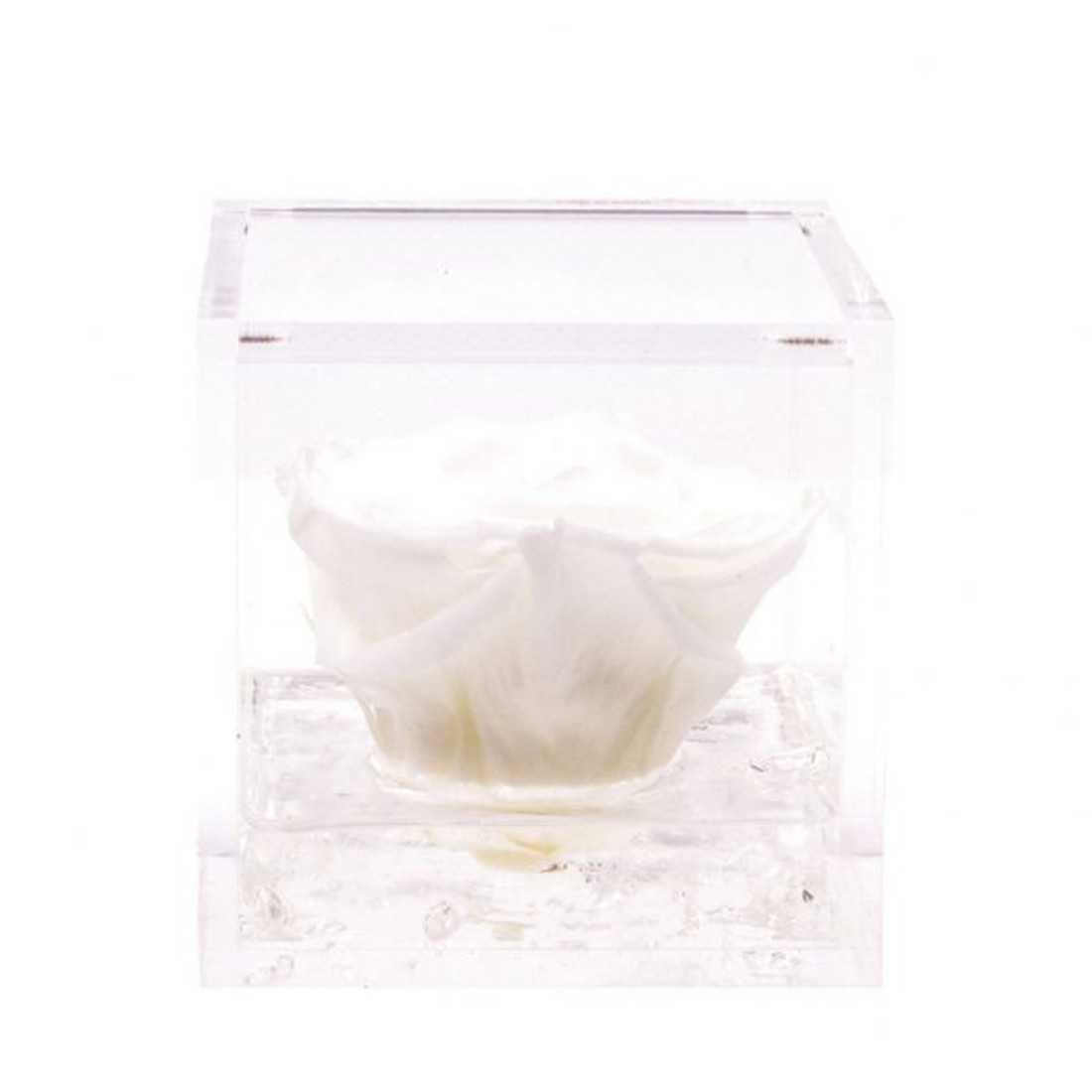 FlowerCube 10x10 cm shop online 2