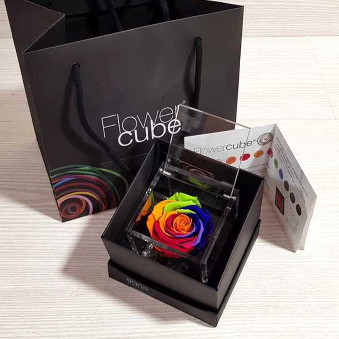 FlowerCube Rainbow 6x6 cm shop online