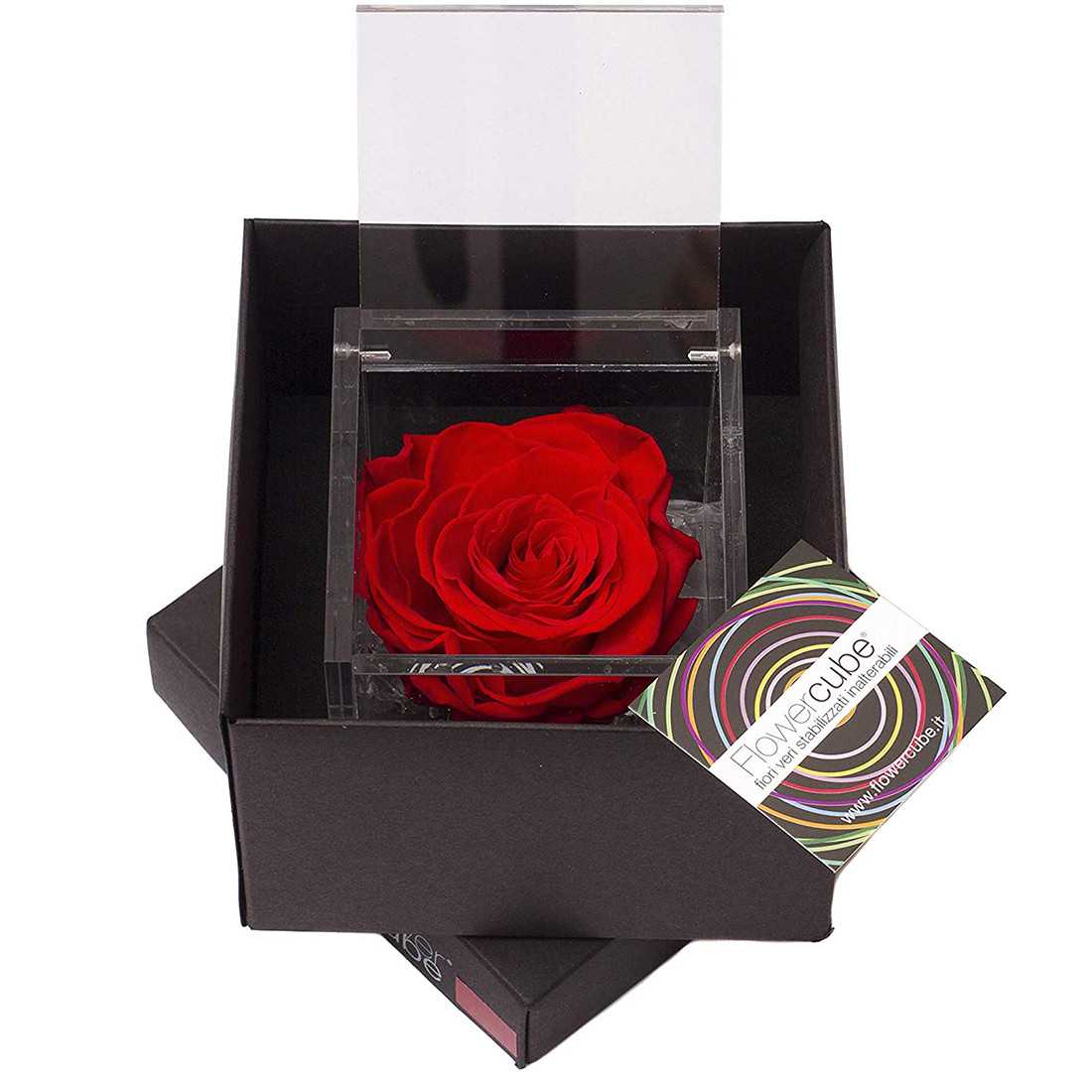 FlowerCube 6x6 cm shop online