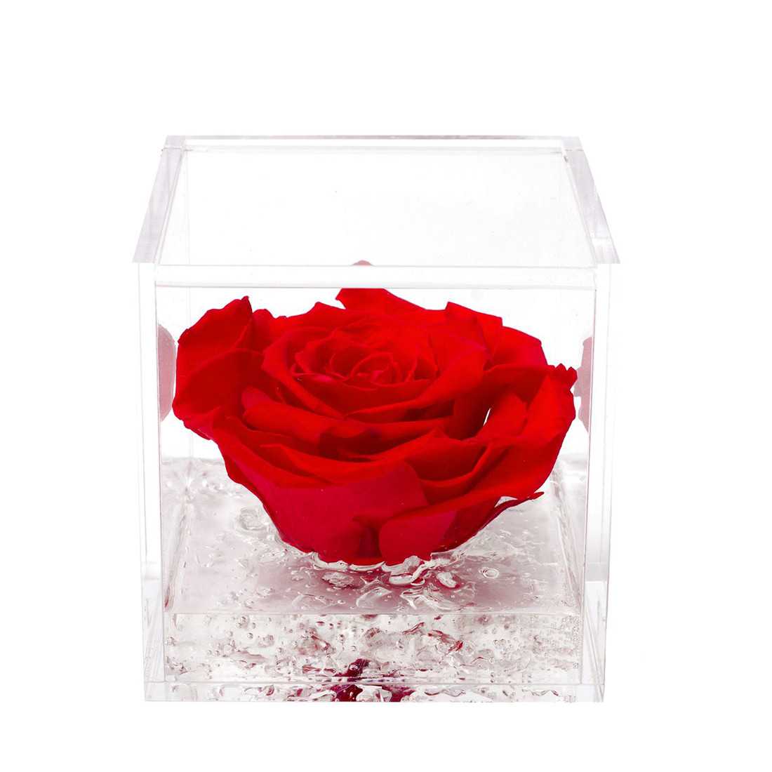 FlowerCube 8x8 cm shop online 2
