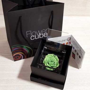 FlowerCube Verde 8x8 cm shop online