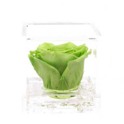 FlowerCube Verde 10x10 cm shop online 2