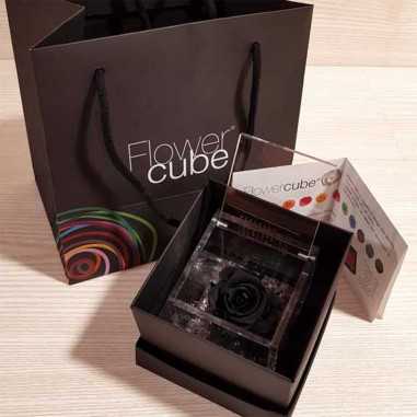 FlowerCube Nero 6x6 cm shop online