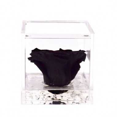 FlowerCube Nero 8x8 cm shop online