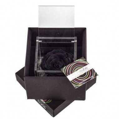 FlowerCube Nero10x10 cm shop online