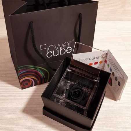 FlowerCube Nero10x10 cm shop online
