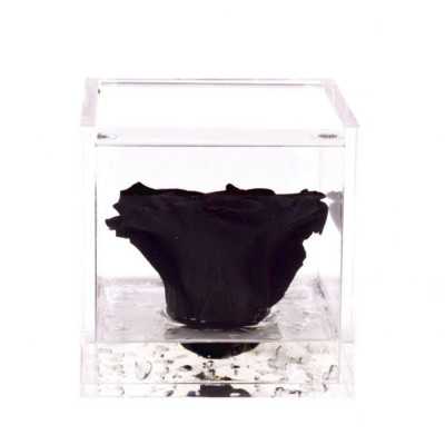 FlowerCube Nero10x10 cm shop online 2