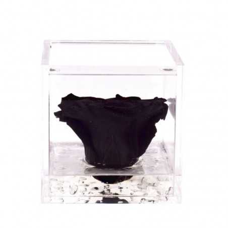 FlowerCube Nero10x10 cm shop online