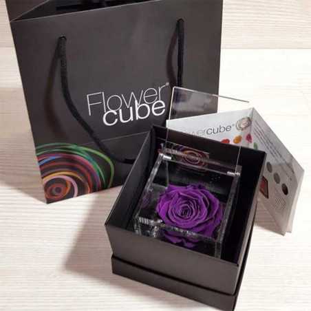 FlowerCube Viola 10x10 cm shop online