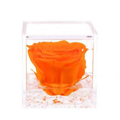 FlowerCube Arancio 8x8 cm shop online 2