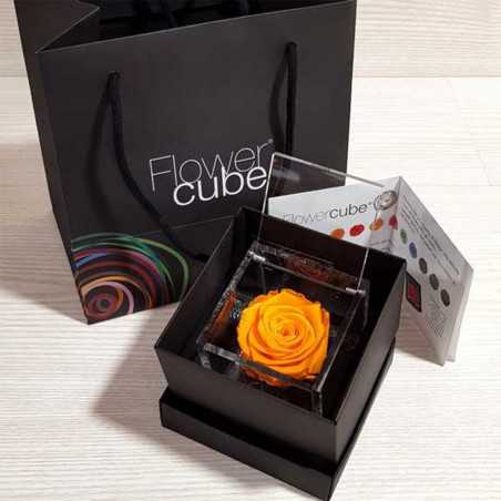 FlowerCube Arancio 8x8 cm shop online
