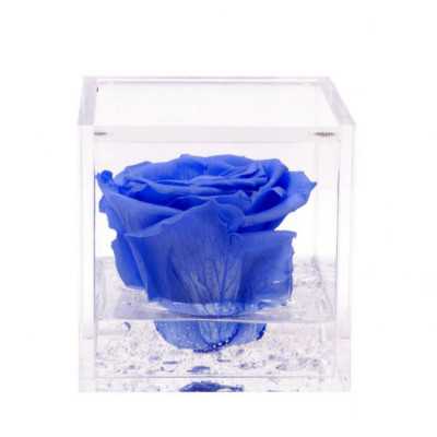 FlowerCube Azzurro 10x10 cm shop online 2