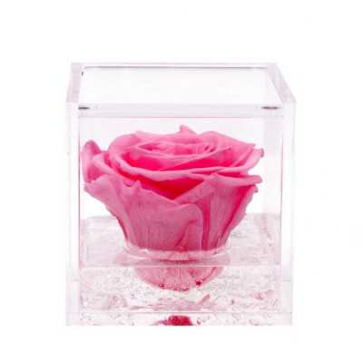 FlowerCube Rosa 8x8 cm shop online 2