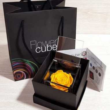 FlowerCube Giallo 8x8 cm shop online
