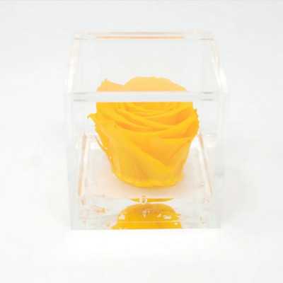 FlowerCube Giallo 10x10 cm shop online 2