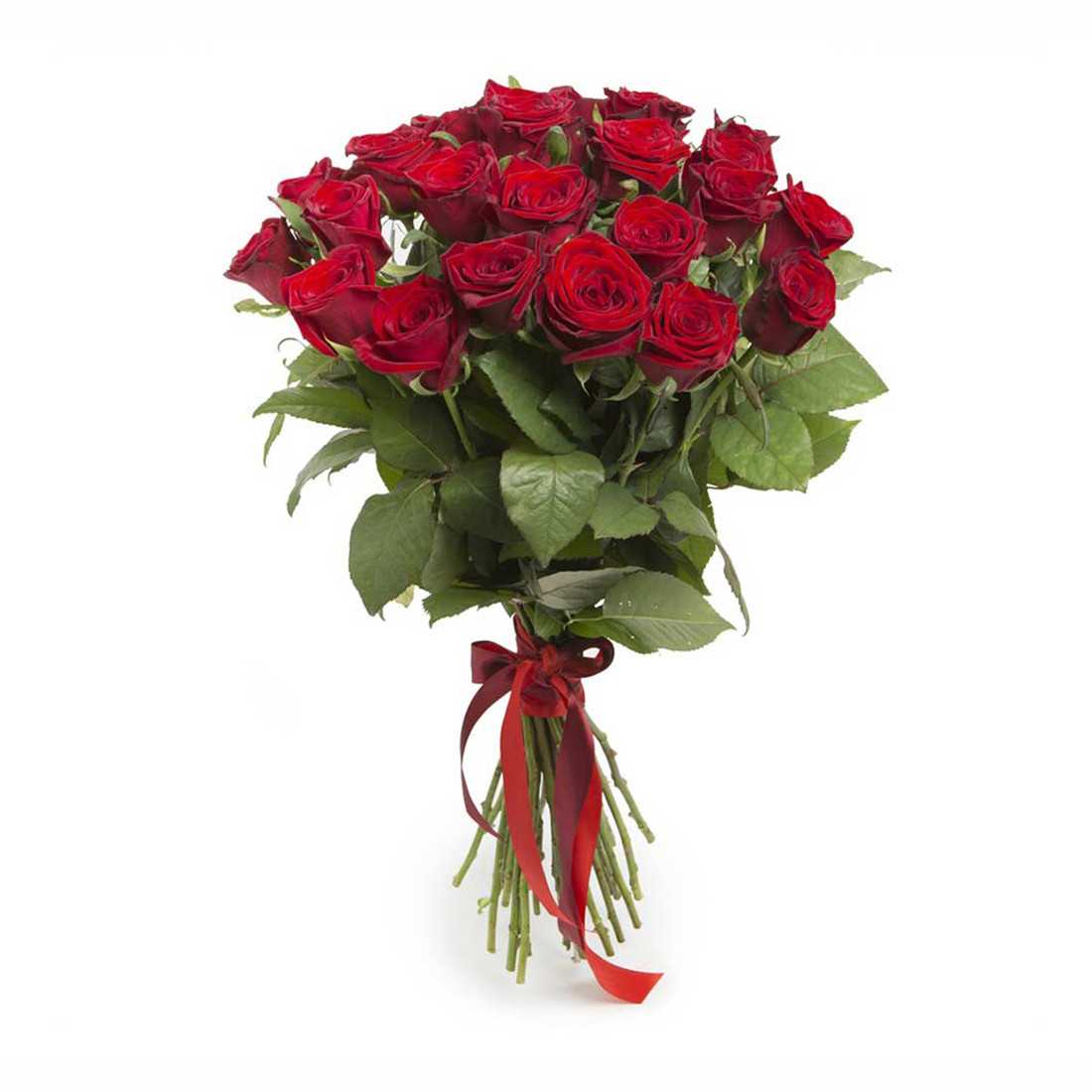 Amor De Mi Vida shop online