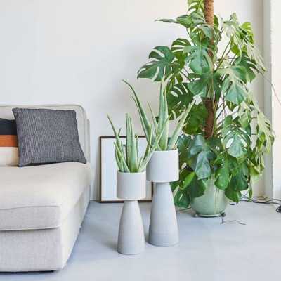 Vaso Porta Pianta Rialzato shop online 2