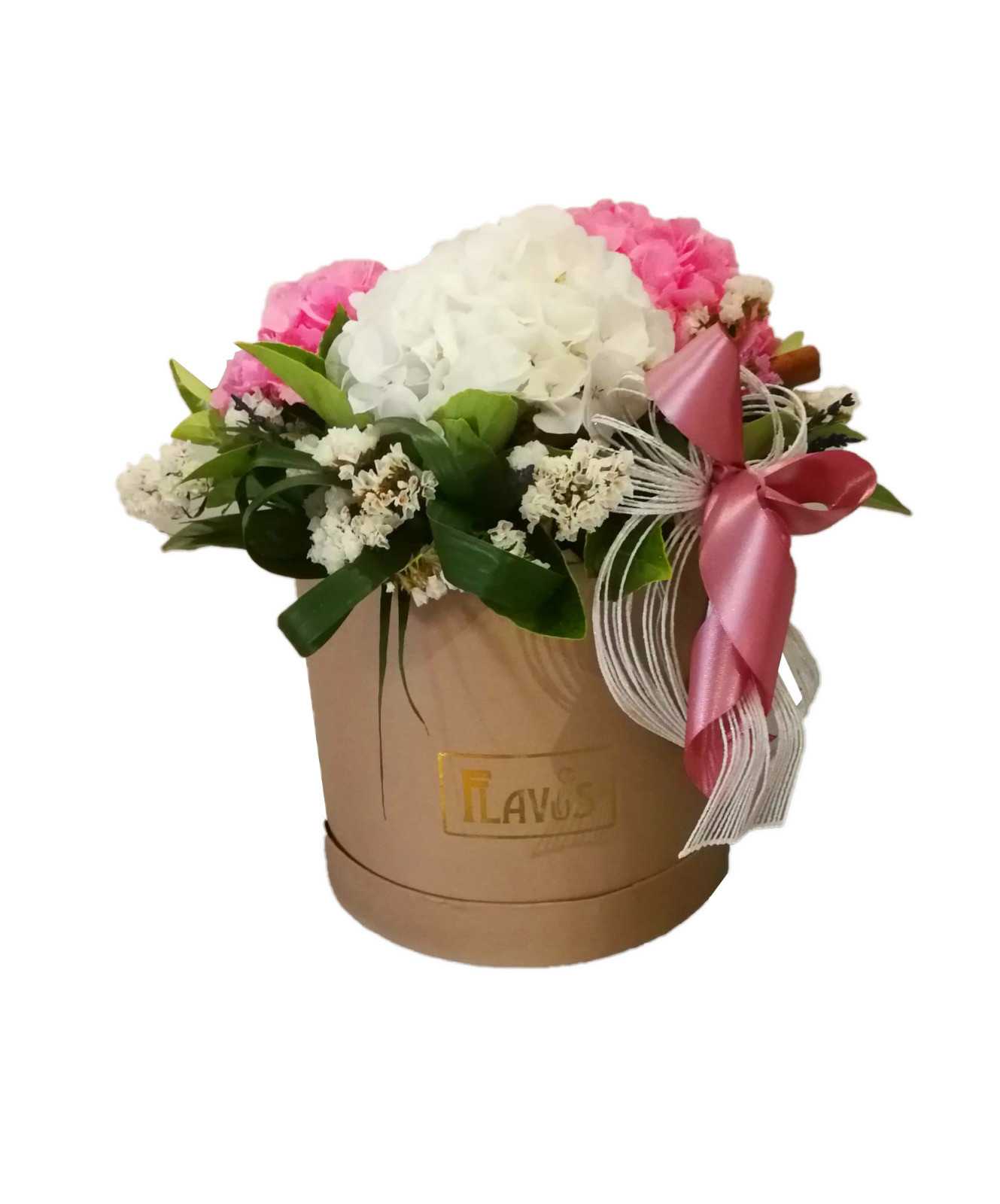 Scatola Cilindro shop online