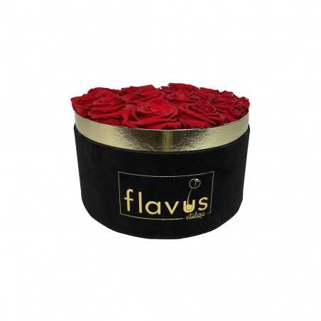 Box Tondo in Velluto Rose Vere shop online