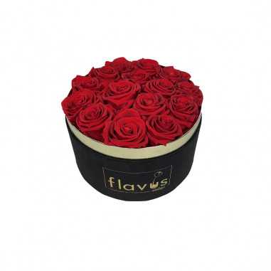 Box Tondo in Velluto Rose Vere shop online