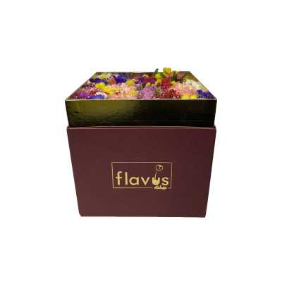 Box Mimosa shop online