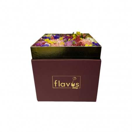 Box Mimosa shop online