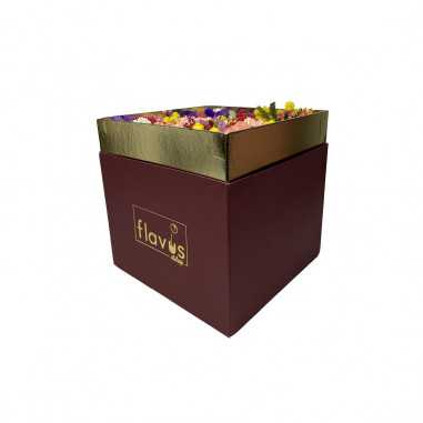 Box Mimosa shop online