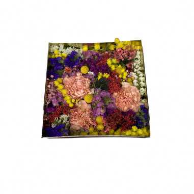 Box Mimosa shop online