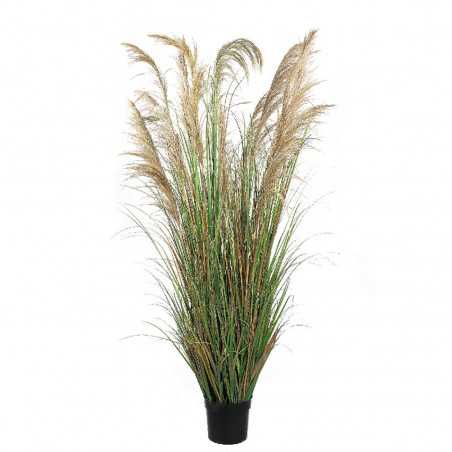 Pianta di Erba del Pampas Artificiale shop online