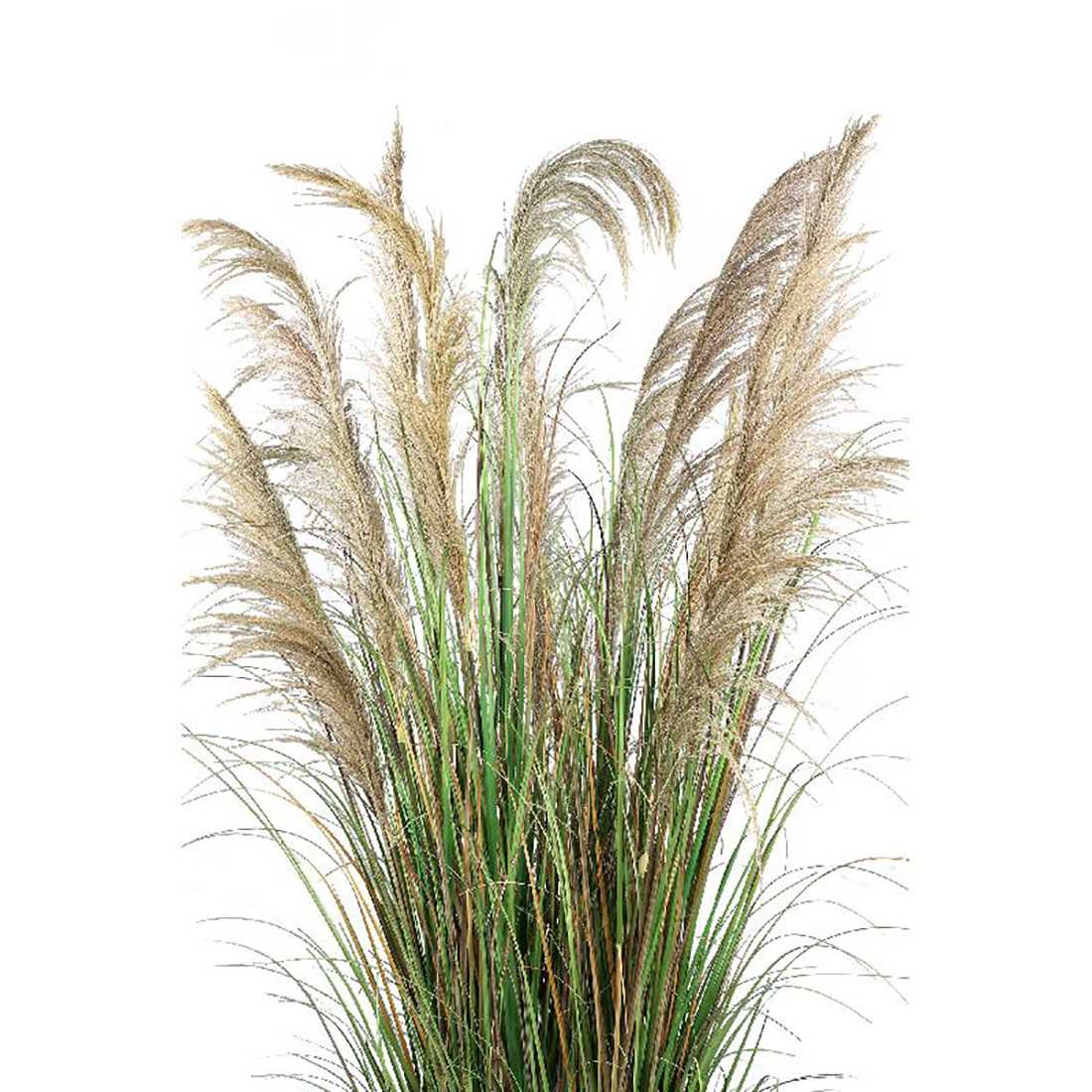 Pianta di Erba del Pampas Artificiale shop online