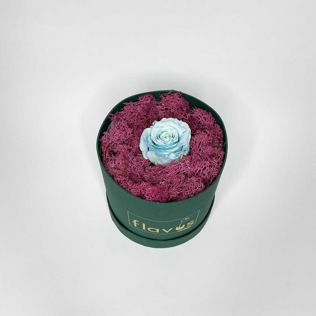 Box Tondo Verde con rosa singola shop online 2