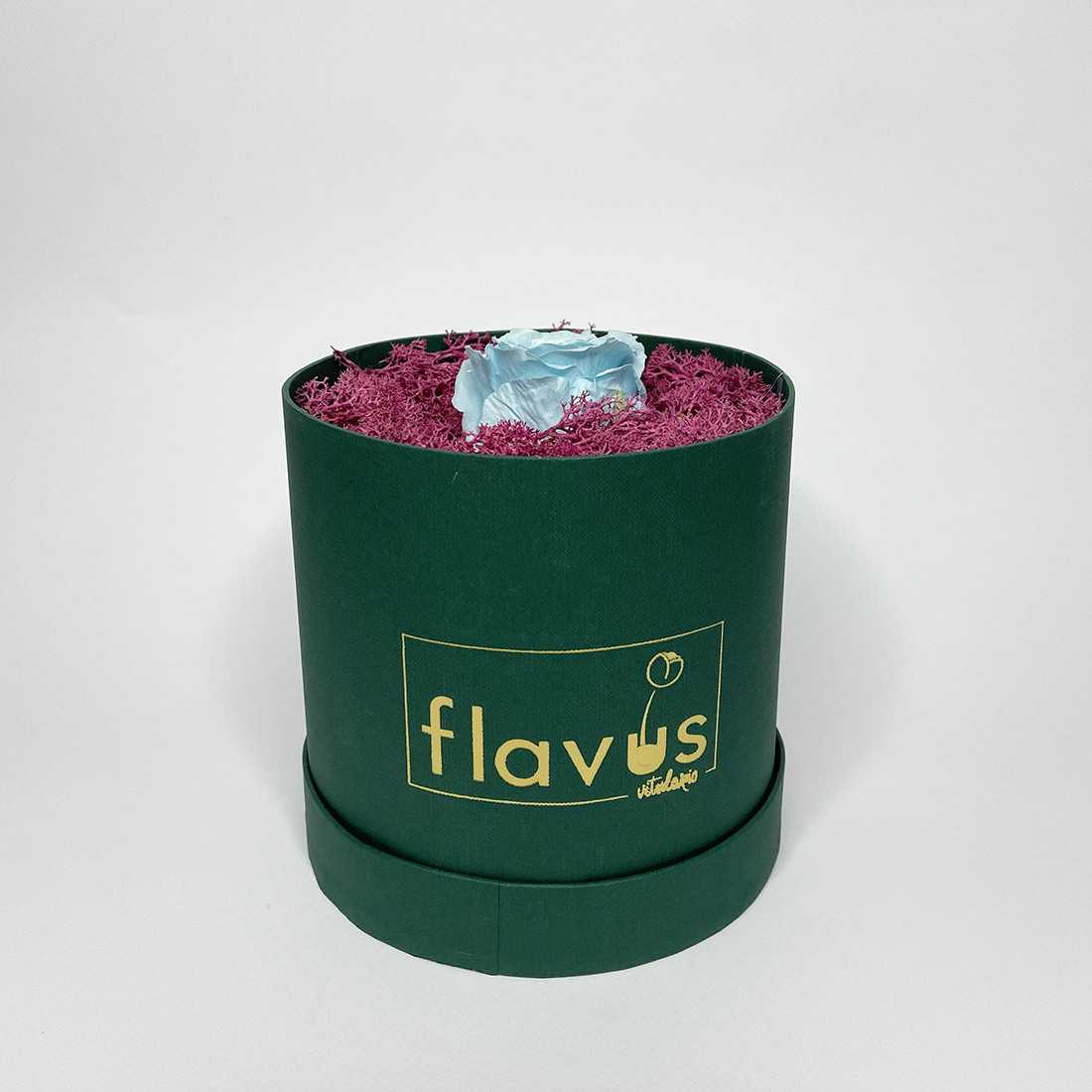 Box Tondo Verde con rosa singola shop online