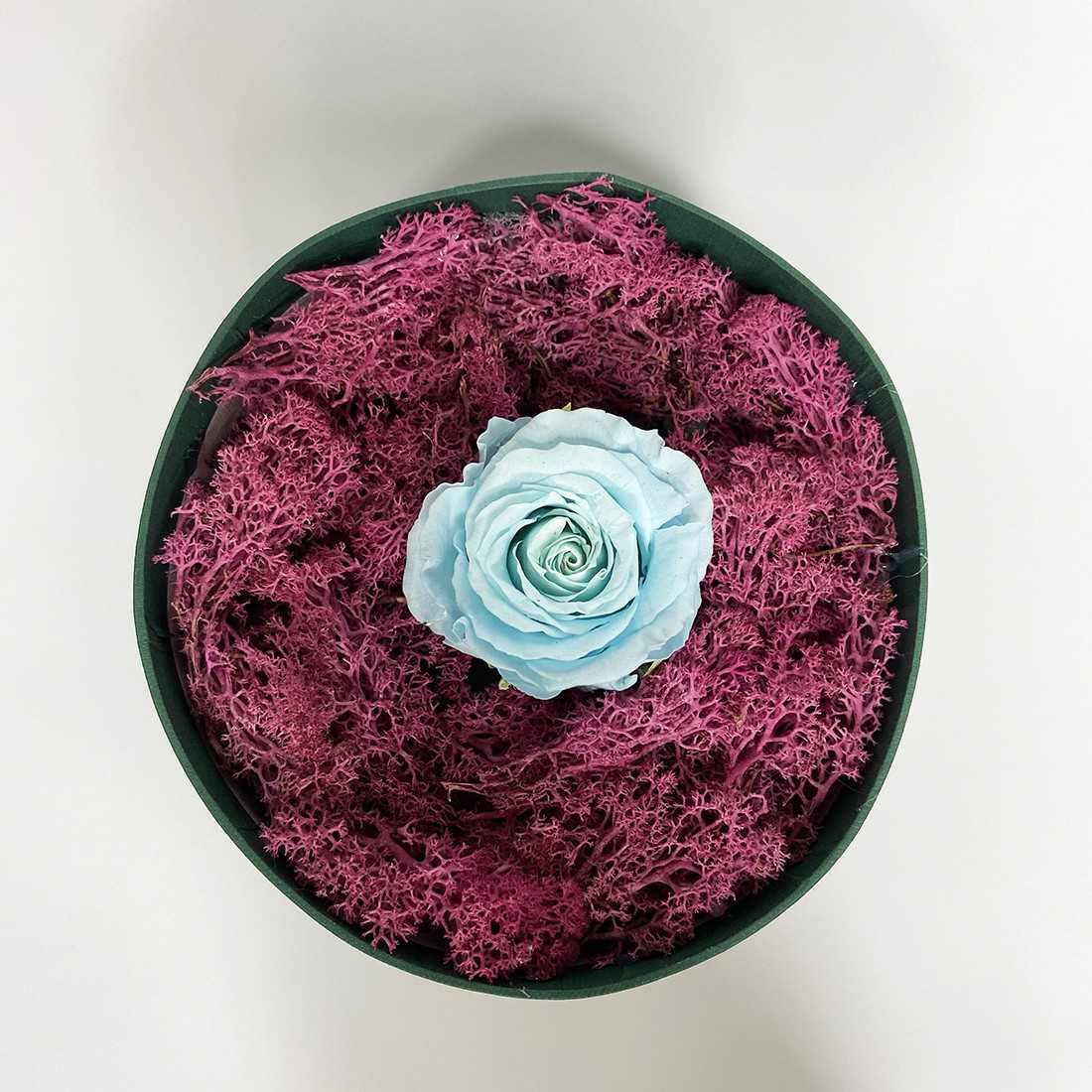 Box Tondo Verde con rosa singola shop online