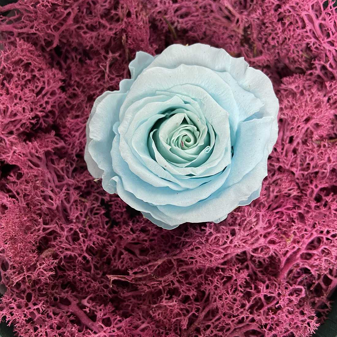 Box Tondo Verde con rosa singola shop online