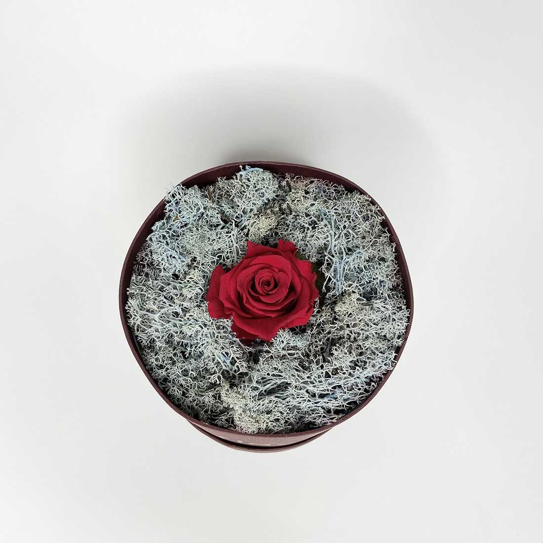Box Tondo Bordeaux con rosa singola stabilizzato shop online Box Tondo Bordeaux con rosa singola stabilizzato shop online