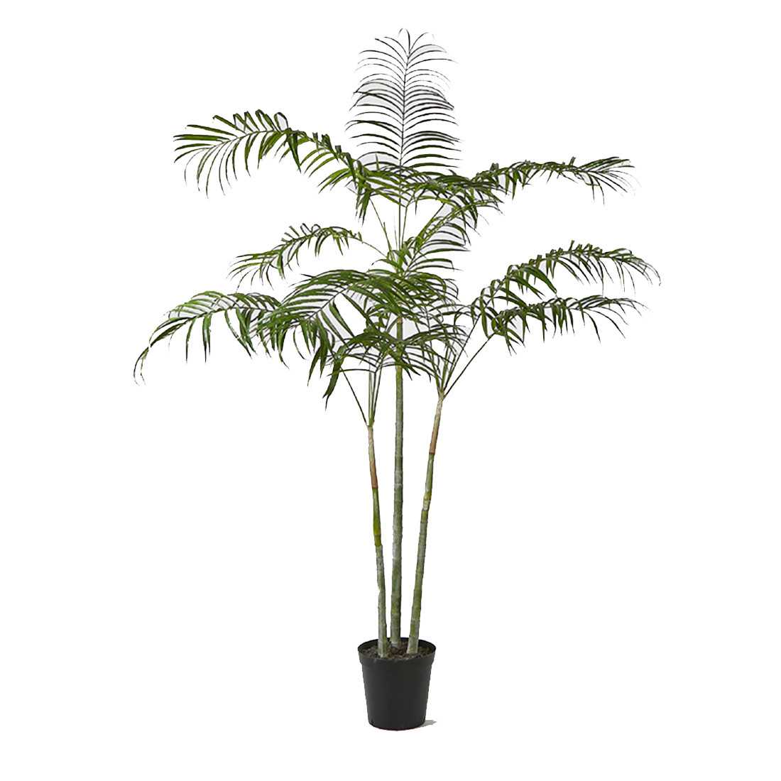 Areca Palma Artificiale h c.a. 180cm shop online Areca Palma Artificiale h c.a. 180cm shop online