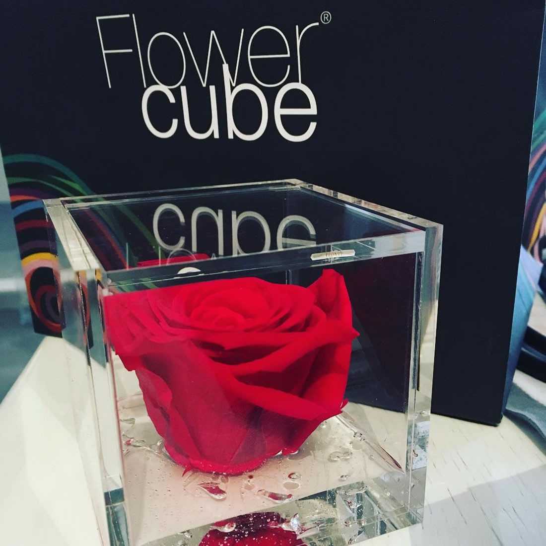 FlowerCube 10x10 cm shop online