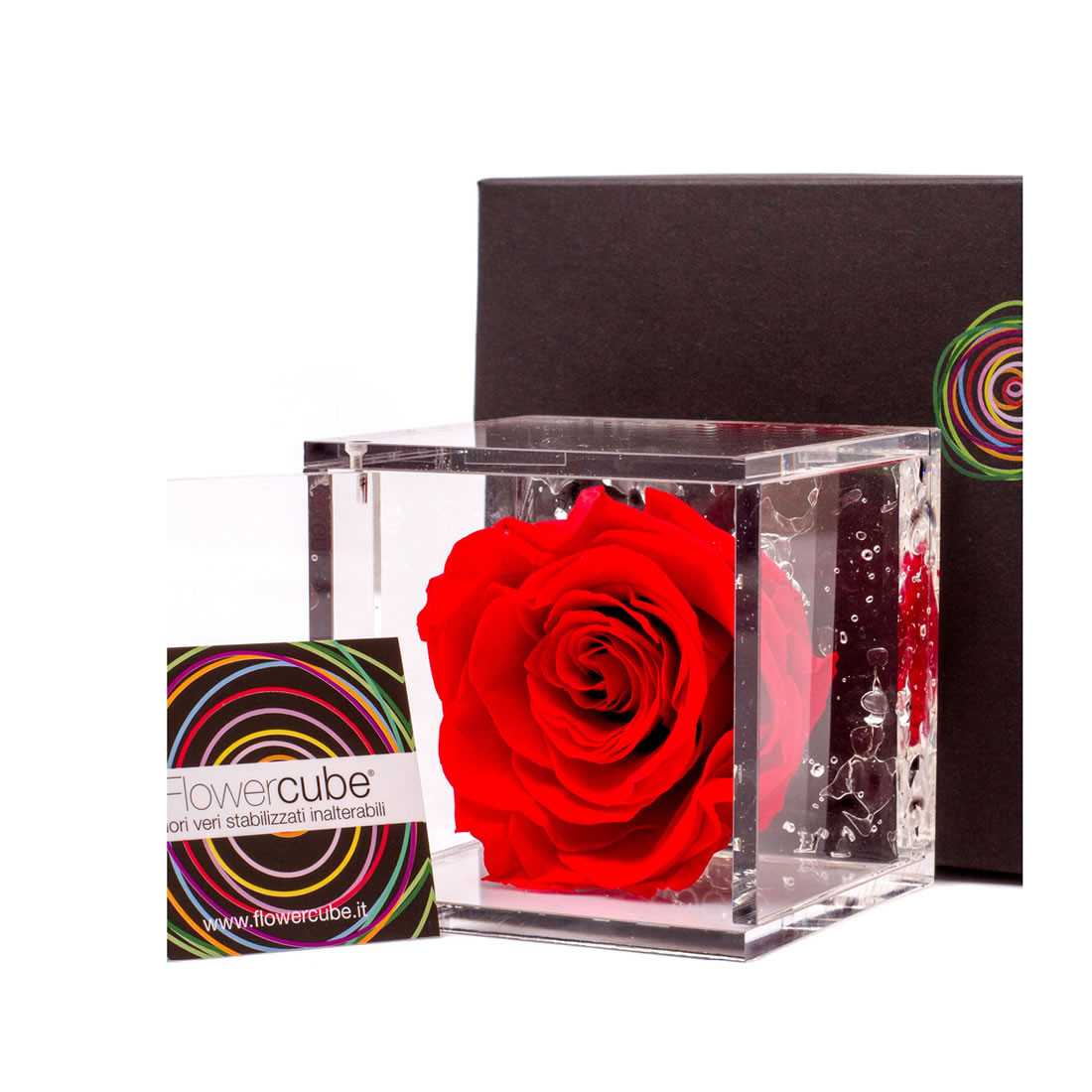 FlowerCube 10x10 cm shop online 2