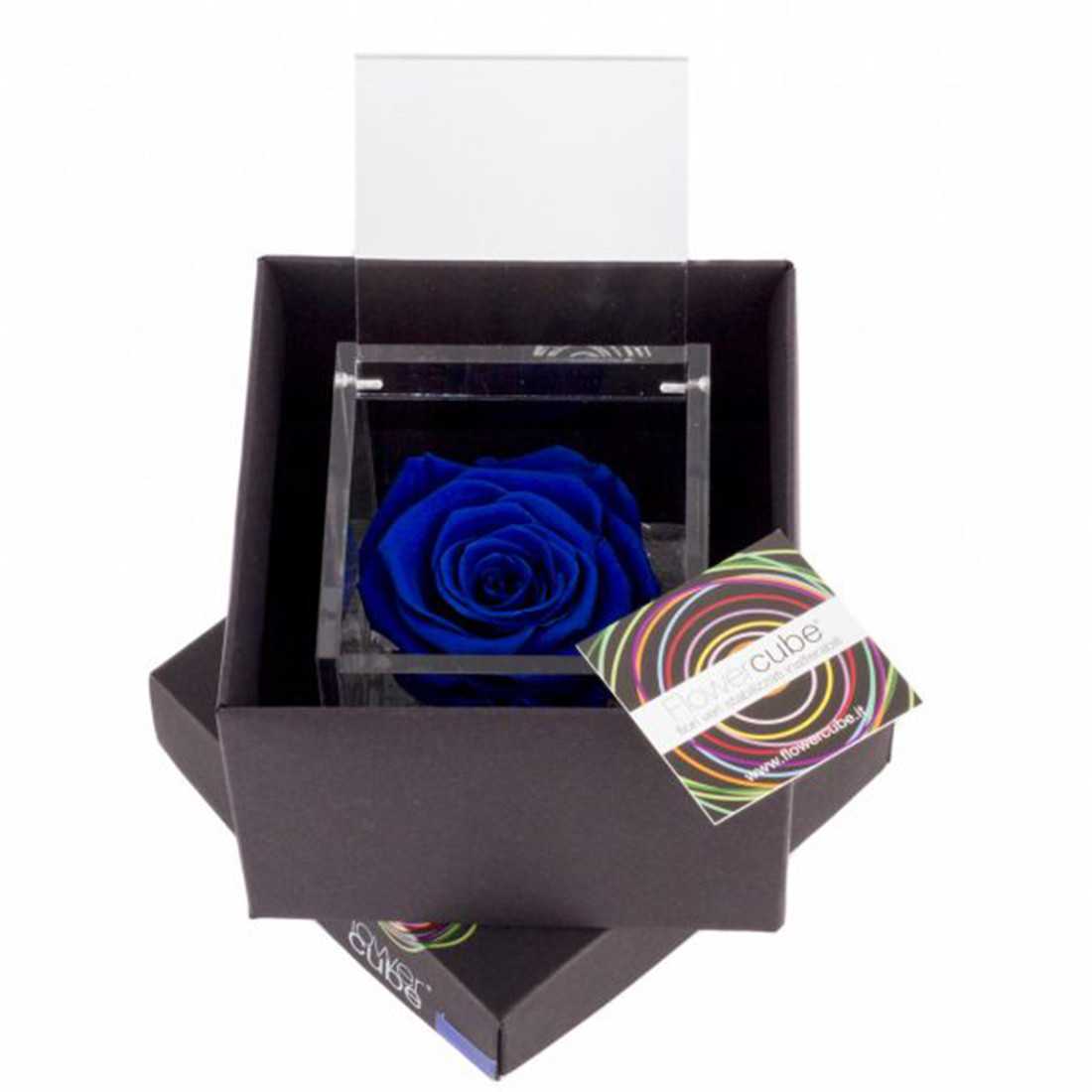 FlowerCube 10x10 cm shop online