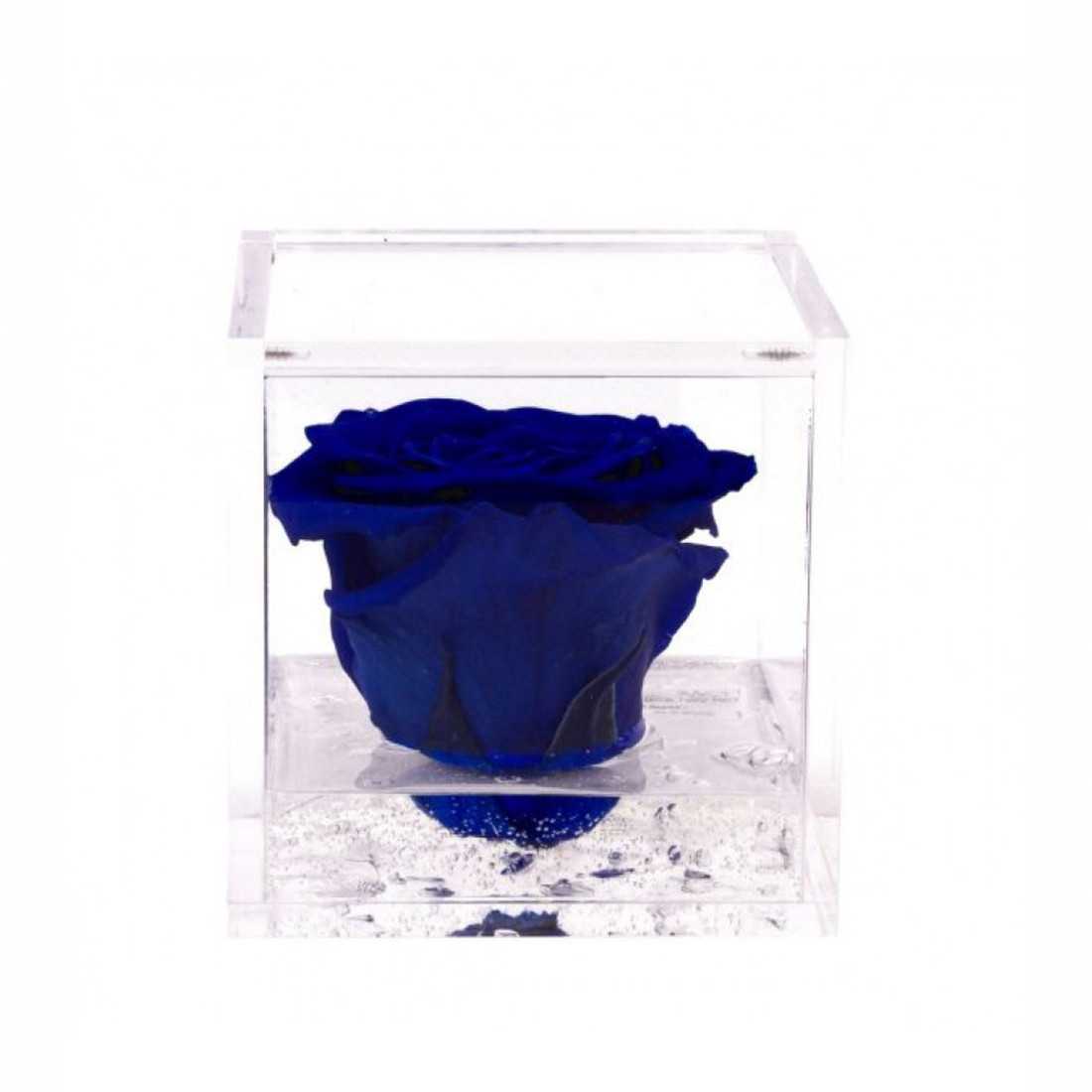FlowerCube 10x10 cm shop online 2